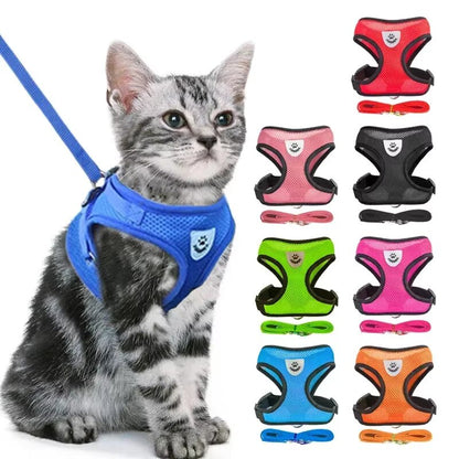 CAT HARNESS & LEASH