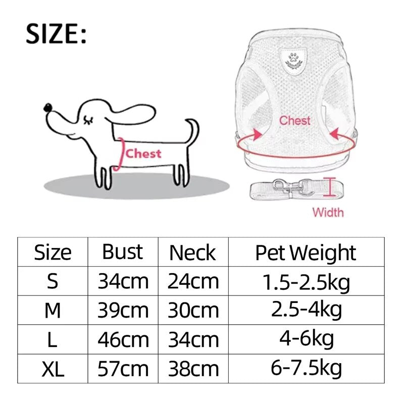 CAT HARNESS & LEASH