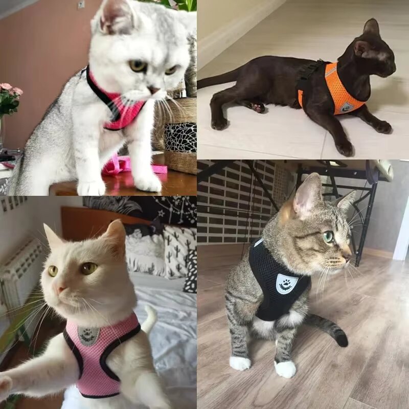 CAT HARNESS & LEASH